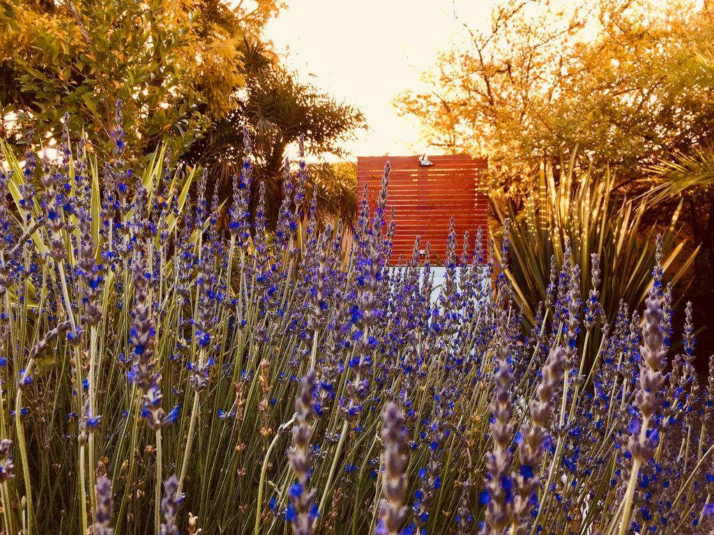 Pictures Guest House Boutique Hotel Oudtshoorn Εξωτερικό φωτογραφία
